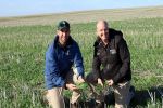 Co-innovation to curb barley blotches