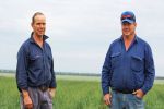 Deep-banded nutrients pay off for northern growers