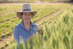  GRDC backed breeding program set to dial up the heat tolerance of wheat 
