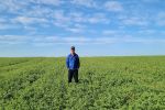 Deep ripping shows benefits for Mallee pulses