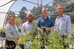 Grains projects get off the ground for research collaboration