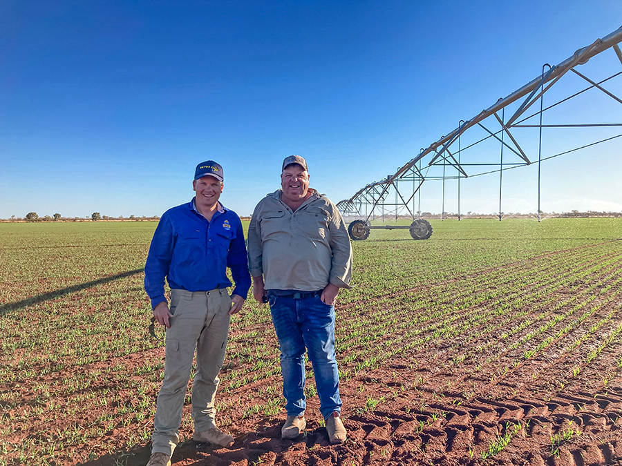 Jarrod and Paul in a crop of irrigated wheat with a lateral irrigator in the background.