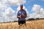 New insights into the most profitable cropping systems in southern NSW