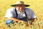 Hugh ‘Bugs’ Brier, Queensland IPM pioneer, retires