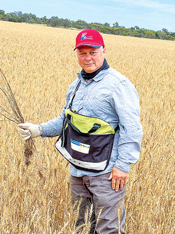 man in a field of ryegrass wearing a red cap