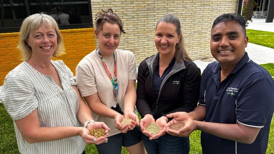 Push begins to diversify markets and value-adding for pulses