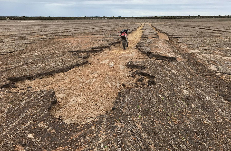In 2017 Lloyd Burrell had to undertake extensive remediation after flooding rain in February caused severe tramline erosion in 31 of his 36 paddocks. PHOTO Cheryl Burrell