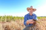 Scholar leaves comfort zone to future-proof NSW farm