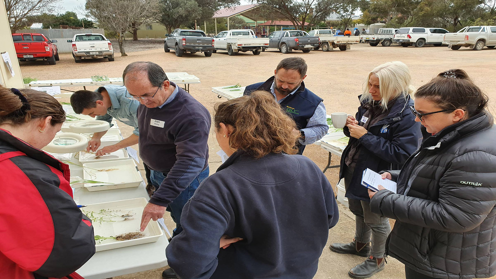 Dr Alan McKay points out infection from pulse root diseases as part of a 'root health workshop' at Blyth, South Australia, in 2019. PHOTO Blake Gontar, SARDI 