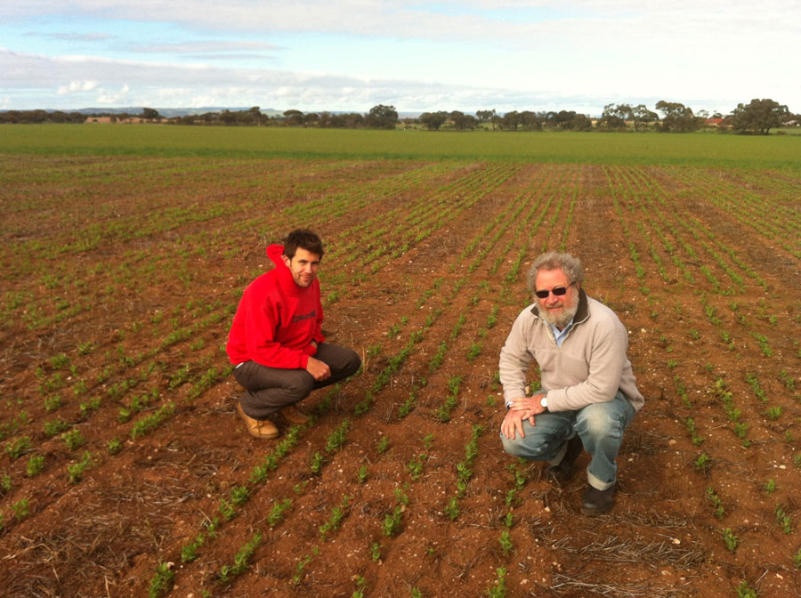 Dr Lachlan Lake (left) and Associate Professor Victor Sadras