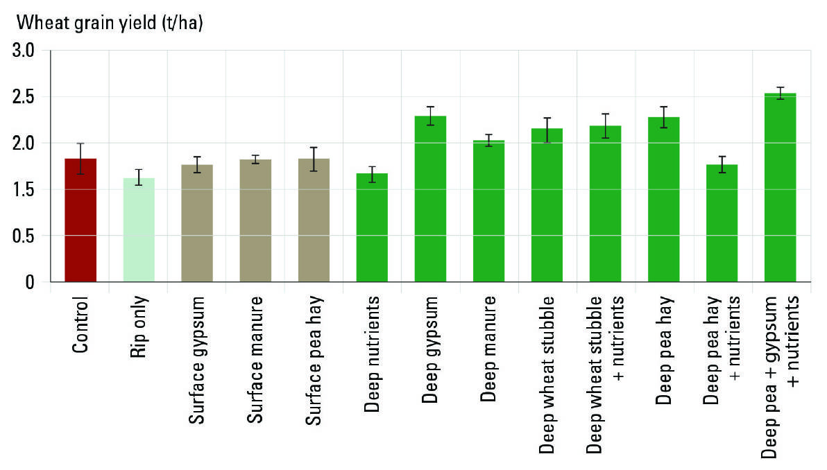 Figure 5: The effects of surface or deep-placed amendments on grain yield of wheat variety LongReach Lancer (PBR) in 2018 at Rand, southern NSW. Bars represent standard errors.