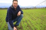 Irrigation and drainage investment help maximise HRZ yields 