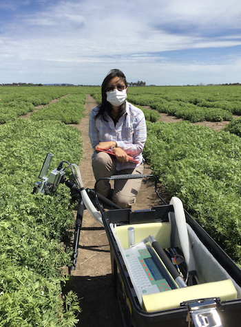 Researcher examining pulse trials. 