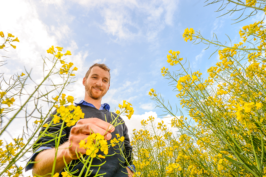 mat dunn in a canola crop