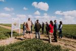 GRDC panel tour to explore local issues faced by growers
