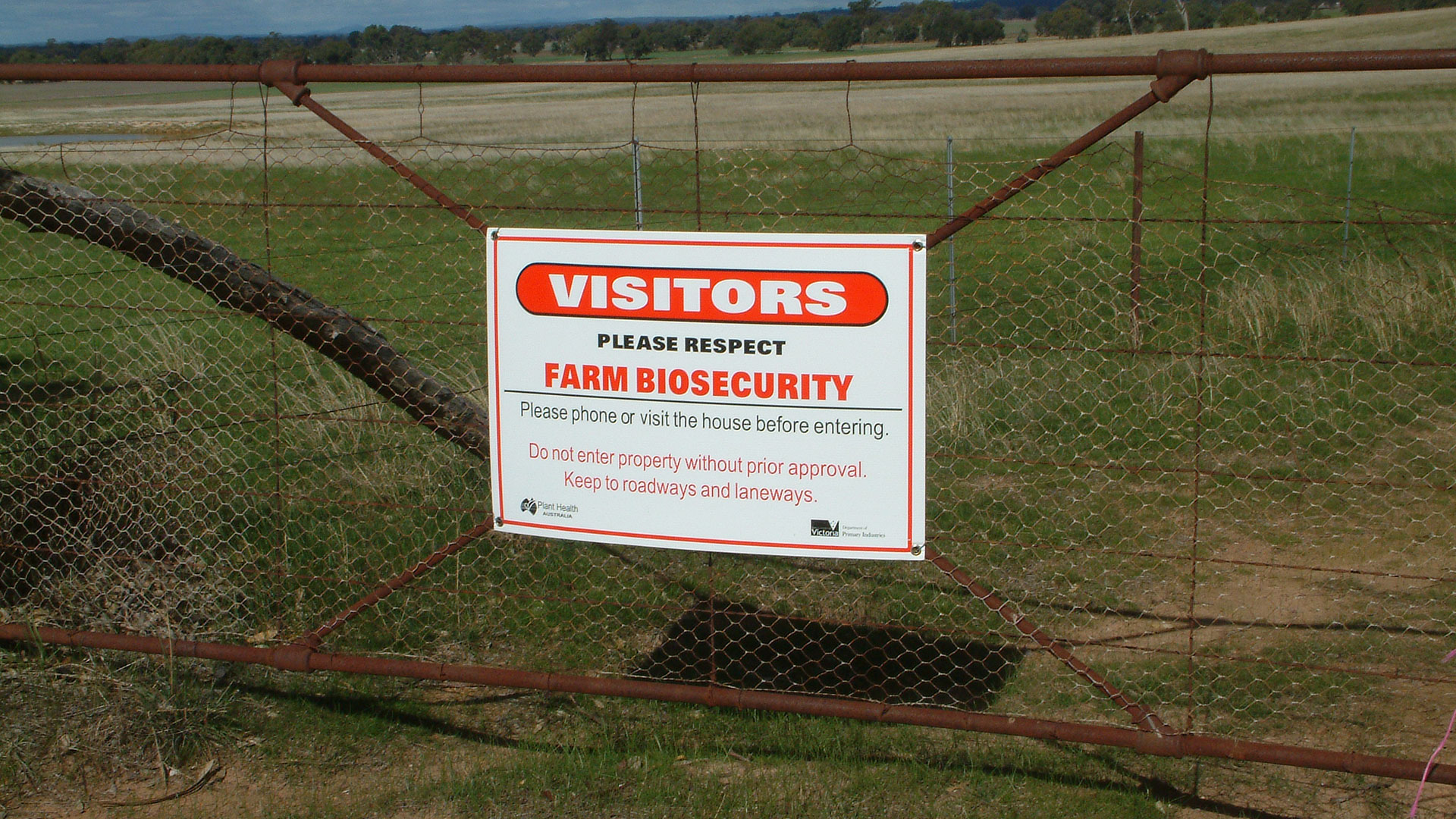 Strong biosecurity underpins grain industry profitability | Groundcover