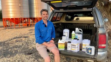 Selecting grain protectants this harvest