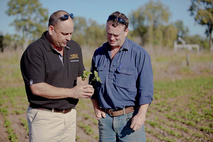Damien White, left, talks to fellow grower Richard Fairley about mungbean agrononmy. Damien's background makes him a great sounding board for mungbean growers in the central Queensland area. PHOTO Katja Anton