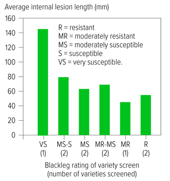 lesion chart