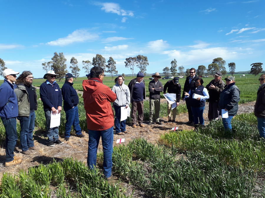 Uday Nidumolu discussed the frost research findings at a field day in South Australia.