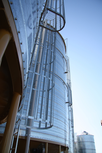 Silo ladders with cages and intermediate platforms.