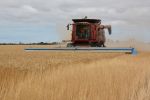 Australians hold grains industry in high esteem