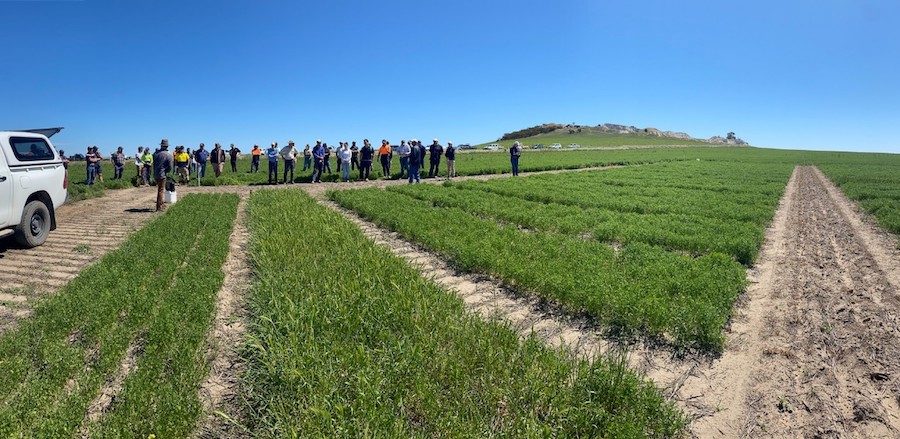 grower field day