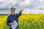 Double-break crop sequences prove a winner for weed and disease control