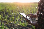Startups to power grain productivity and sustainability