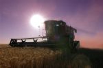 Report finds grains play key role in Australian regional economies