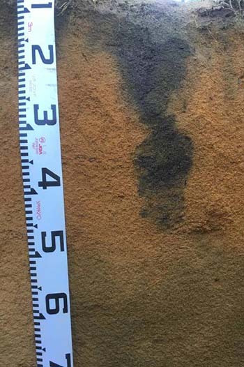 Dark organic stain in the soil to 45cm
