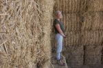 Hay enterprise underpins crop expansion