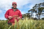 ‘Pupil’ shows what is possible with an award-winning wheat crop