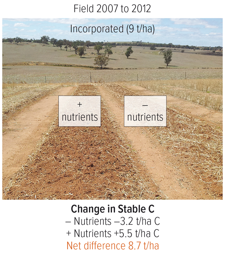 soil nutrient trial