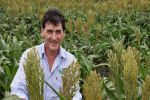 GRDC National Variety Trials releases 2021 Sorghum Harvest Report