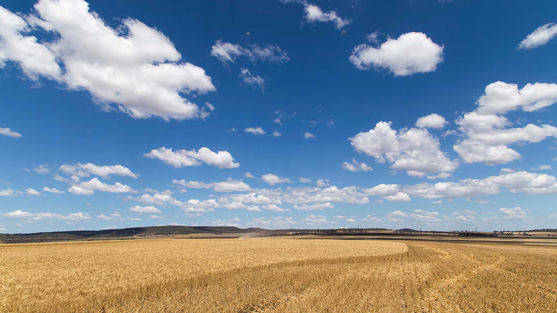 GRDC to provide seasonal update to growers at AgQuip | Groundcover