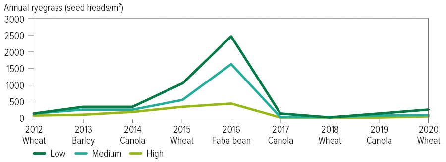 The figure shows annual ryegrass seed heads per square metre from 2012 to 2020. The annual ryegrass numbers are virtually nil after faba bean and canola.