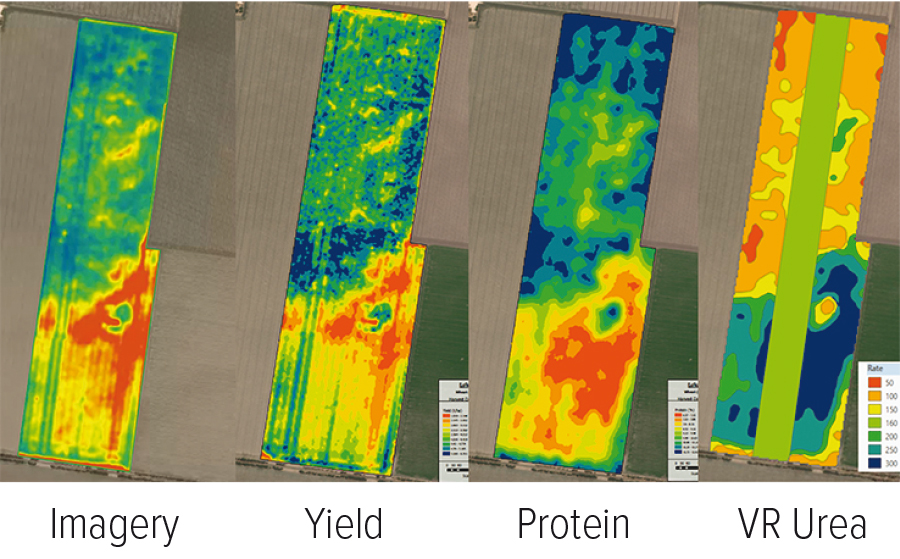Four coloured variation maps. The first uses satellite data, the second yield, the third protein variation and the fourth is the variable rate urea map with a test strip across all the different zones.