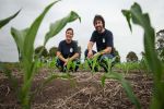 Growers needed for research to assess regen ag