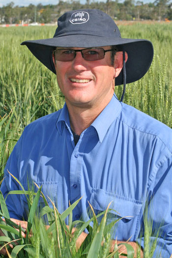 Dr Whish in a field of green sorghum