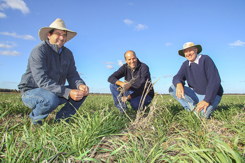 three men sitting in a crop