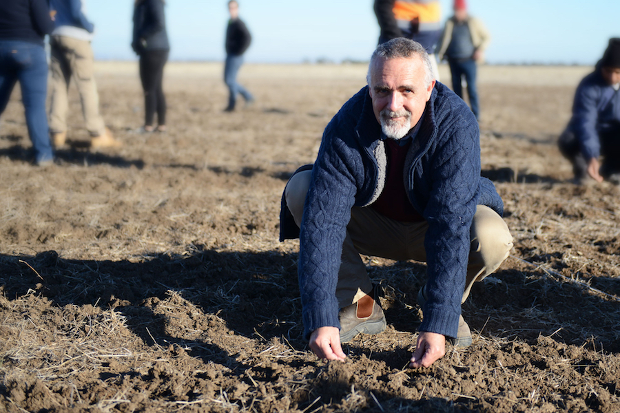 Dr Garry Rosewarne help hand-sow pulse trials. 