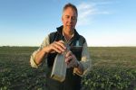 Growers urged to keep monitoring mouse numbers