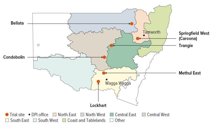 Picture of NSW showing the locations of Bellata, Caroona in the north of the state, Trangie and Condobolin in the Central West and Methul and Lockhart in the South East.