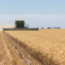 More grain in the bin, more dollars in the pocket with harvester…