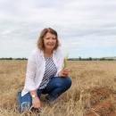 Novel weed management tactics for mixed farming systems