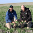 Grower project confirms widespread fungicide resistance to net…
