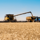 More grain in the bin, more dollars in the pocket with harvester…