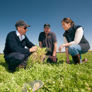 Western: Committed growers support hardy pasture legume revolution