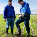 Soil test to reap fertiliser value